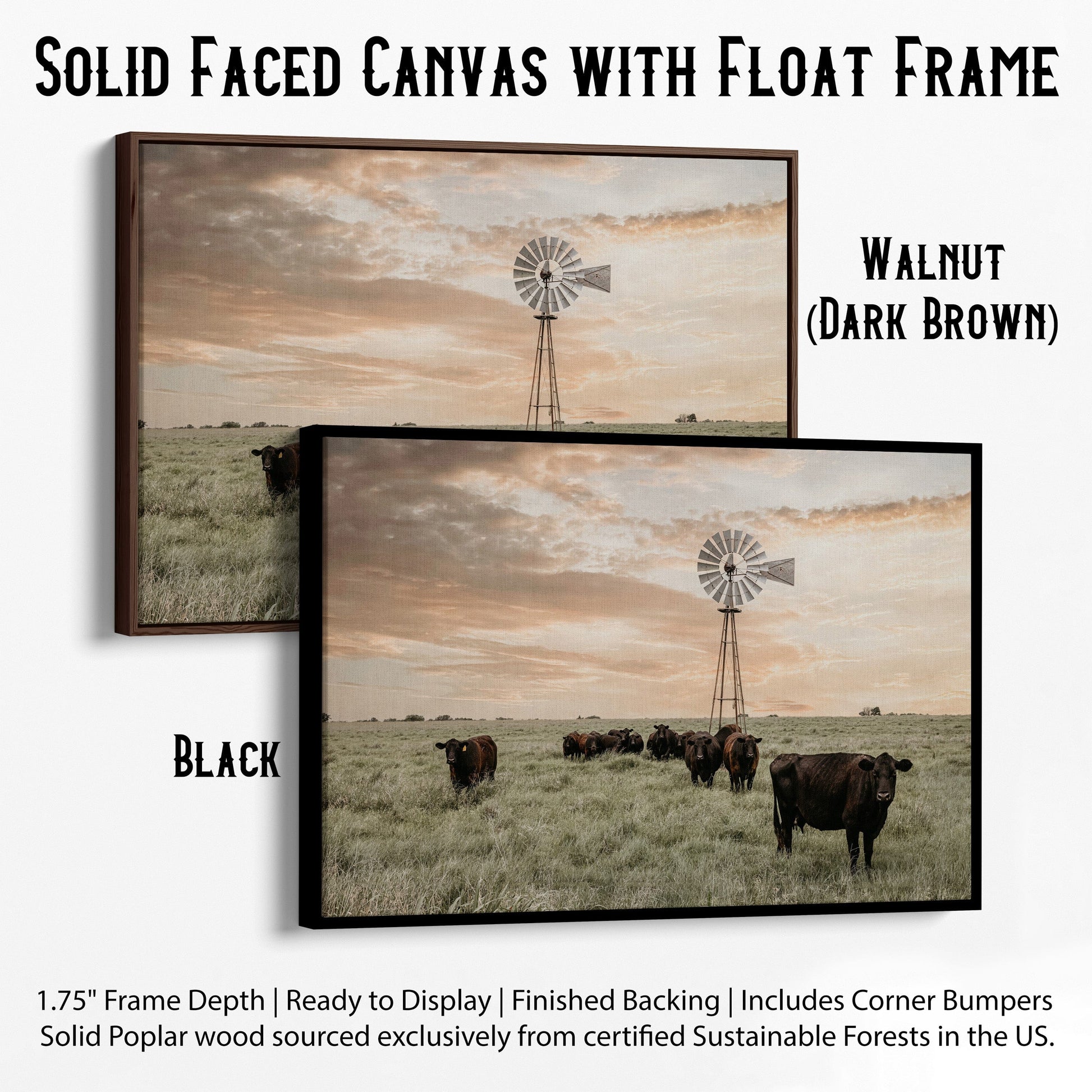 Black Angus Cattle and Old Windmill Canvas-Black Frame / 12 x 18 Inches Wall Art Teri James Photography