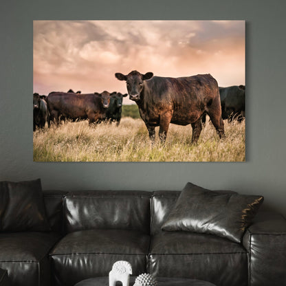 Black Angus Cattle at Sunset - Angus Cows Wall Art Canvas Wall Art Teri James Photography