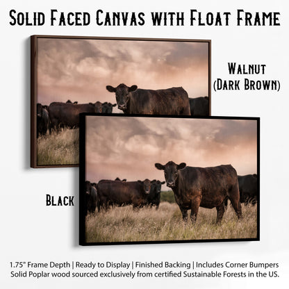 Black Angus Cattle at Sunset - Angus Cows Wall Art Canvas Canvas-Black Frame / 12 x 18 Inches Wall Art Teri James Photography