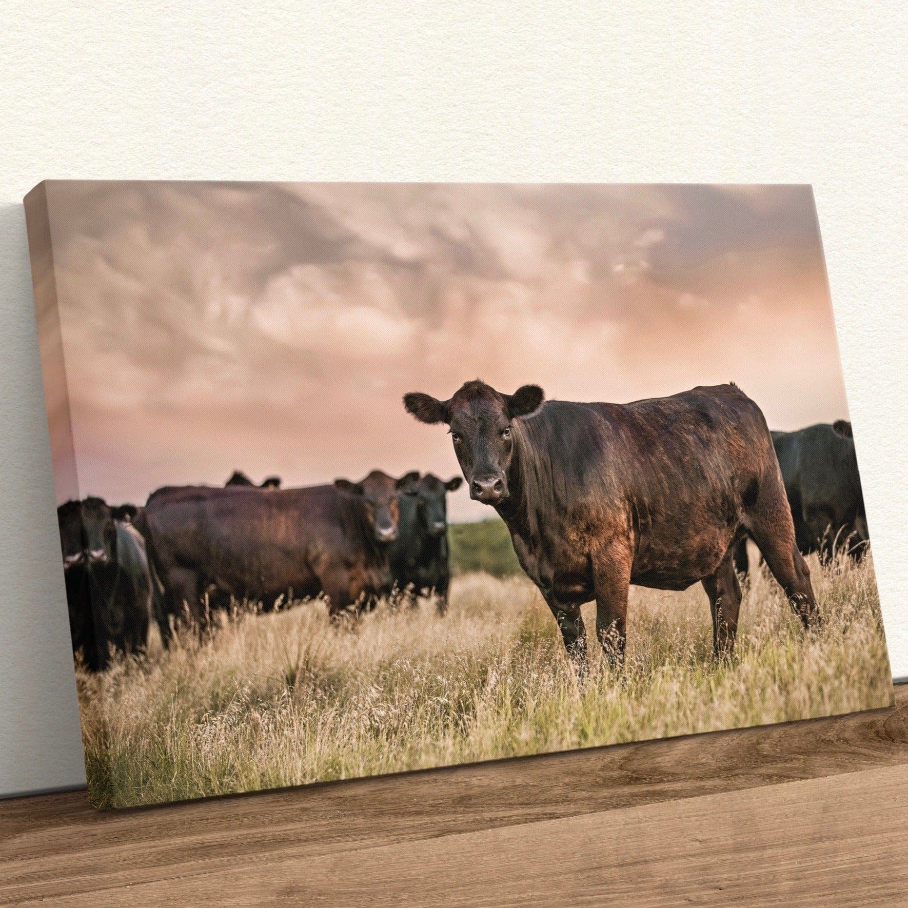 Black Angus Cattle at Sunset - Angus Cows Wall Art Canvas Canvas-Unframed / 12 x 18 Inches Wall Art Teri James Photography