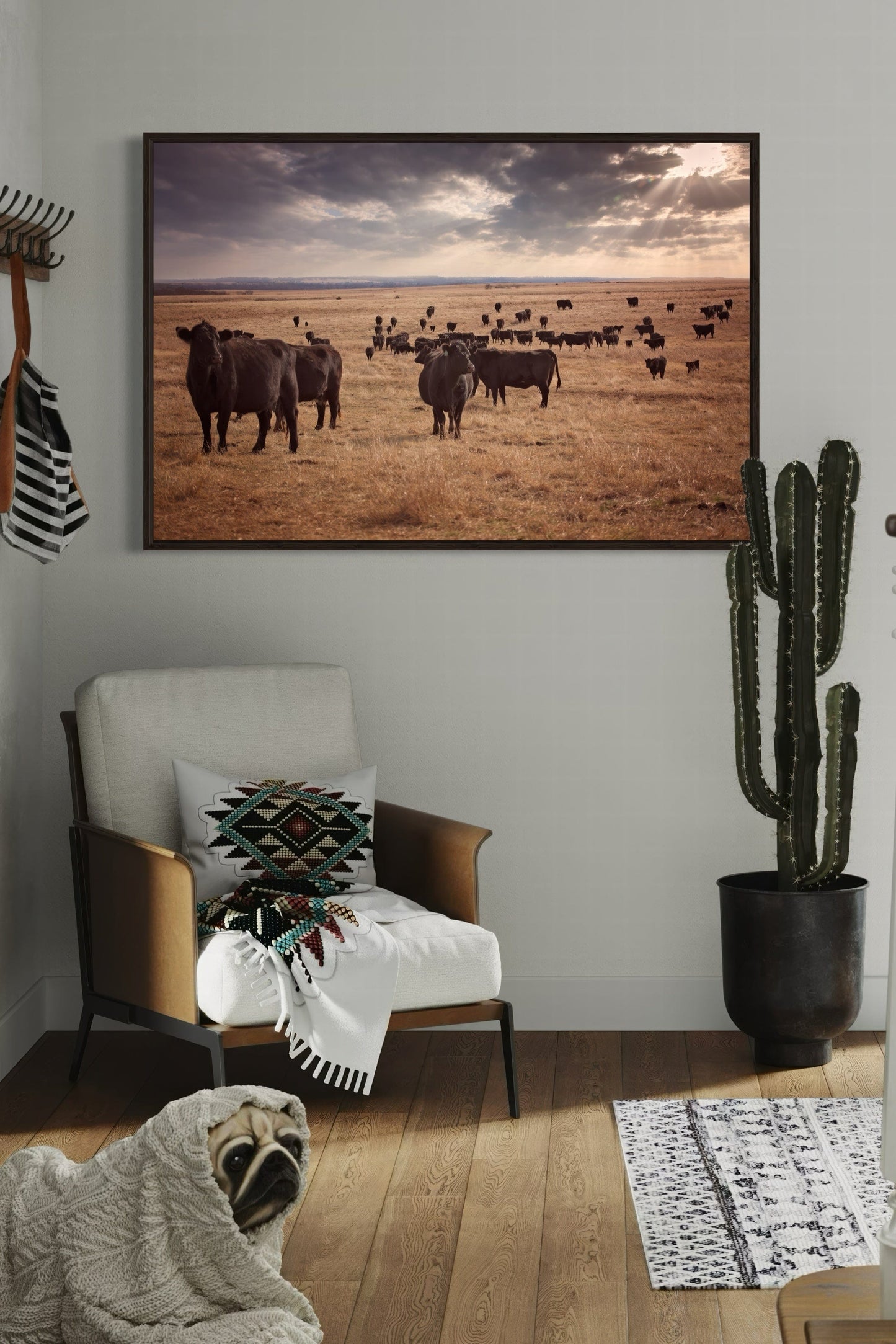 Black Angus Cattle Canvas Print Wall Art Teri James Photography