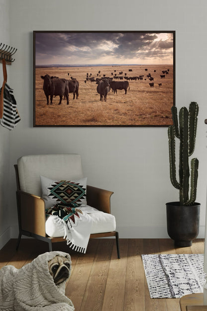 Black Angus Cattle Canvas Print Wall Art Teri James Photography