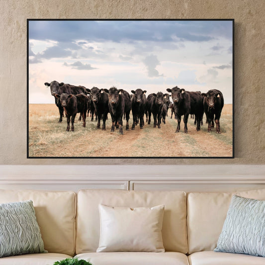 Black Angus Cattle Decor - Blue Oklahoma Sky Wall Art Teri James Photography