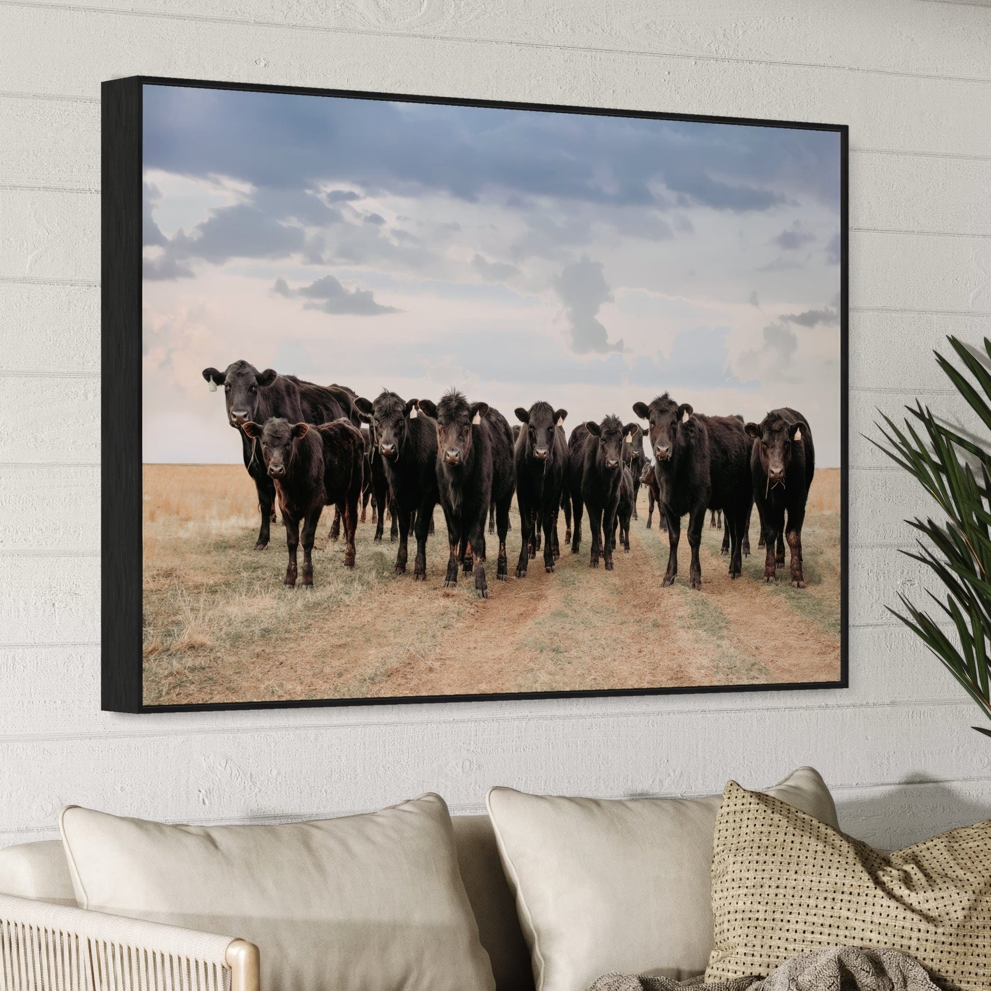 Black Angus Cattle Decor - Blue Oklahoma Sky Wall Art Teri James Photography