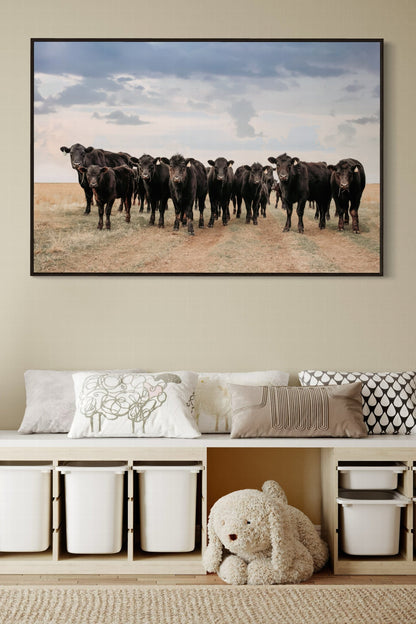 Black Angus Cattle Decor - Blue Oklahoma Sky Wall Art Teri James Photography