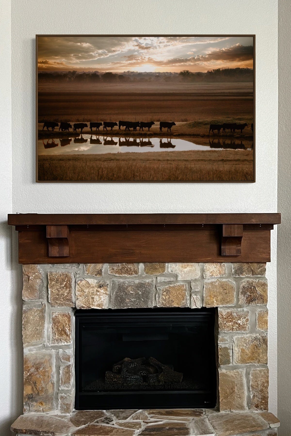 Black Angus Cattle Wall Art - Reflections Wall Art Teri James Photography