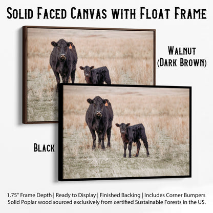 Black Angus Cow and Calf Canvas Print Canvas-Black Frame / 12 x 18 Inches Wall Art Teri James Photography