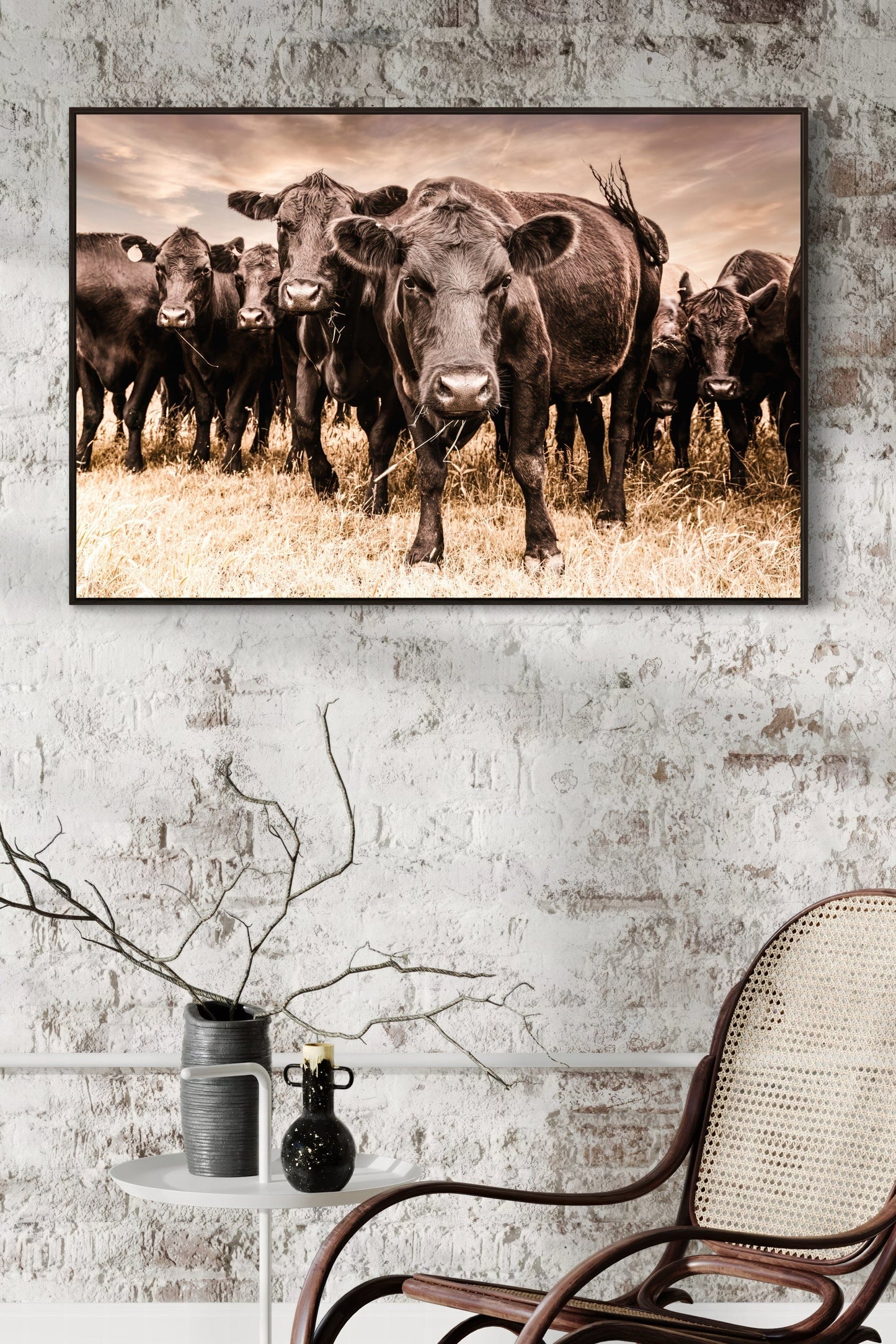 Black Angus Cow Canvas Wall Art Wall Art Teri James Photography