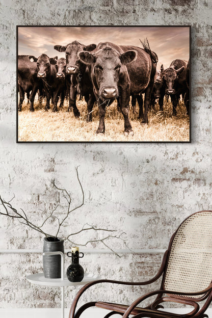 Black Angus Cow Canvas Wall Art Wall Art Teri James Photography