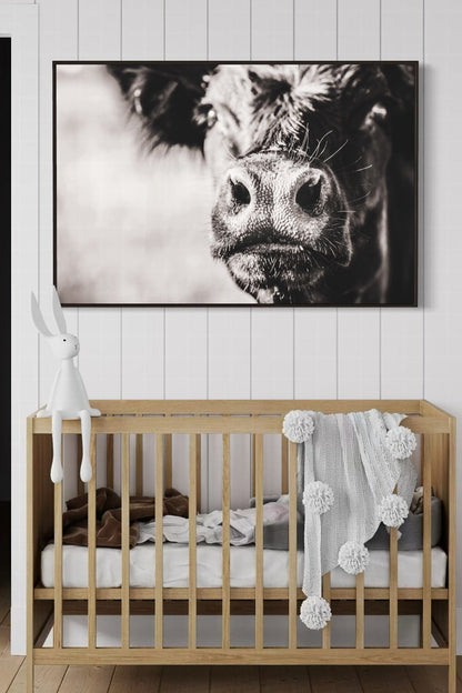 Black Angus Cow Closeup Wall Art Teri James Photography