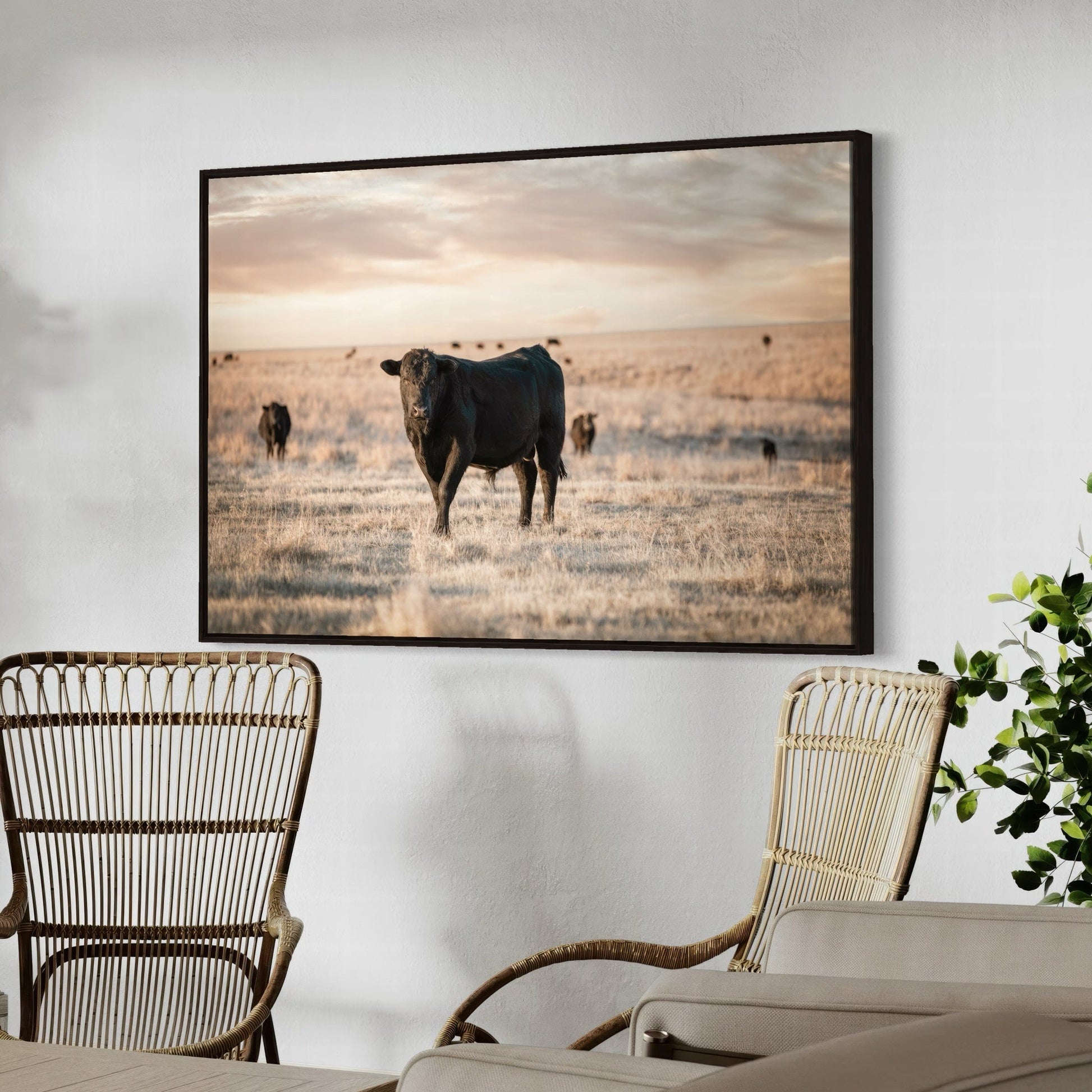 Black Angus Home Decor Wall Art Teri James Photography