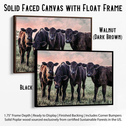 Black Angus Nursery Decor Canvas-Black Frame / 12 x 18 Inches Wall Art Teri James Photography