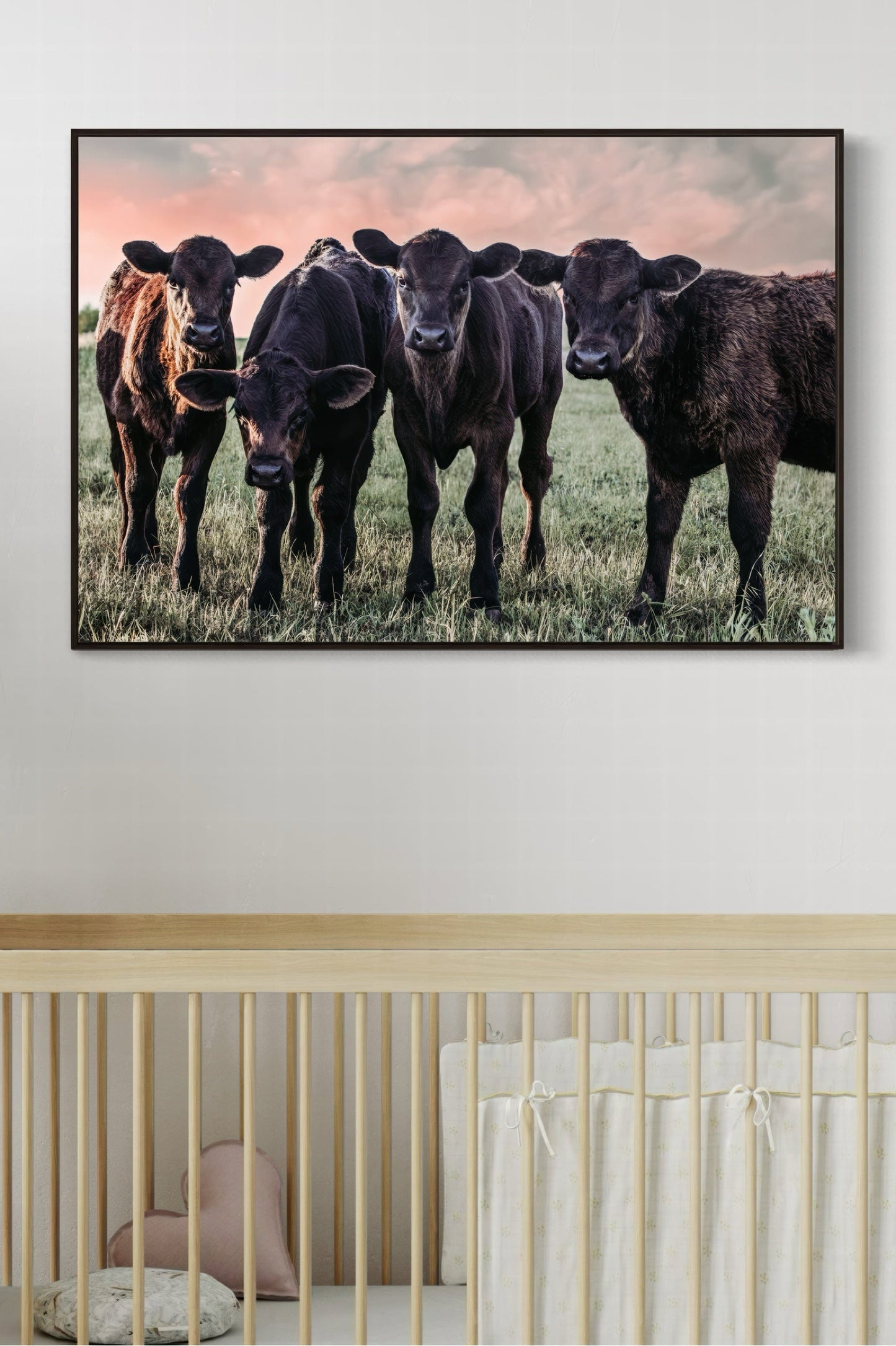 Black Angus Nursery Decor Wall Art Teri James Photography