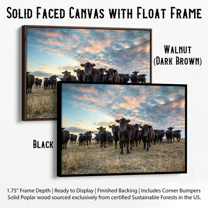 Black Angus Wall Art - Cows at Sunset Canvas-Black Frame / 12 x 18 Inches Wall Art Teri James Photography