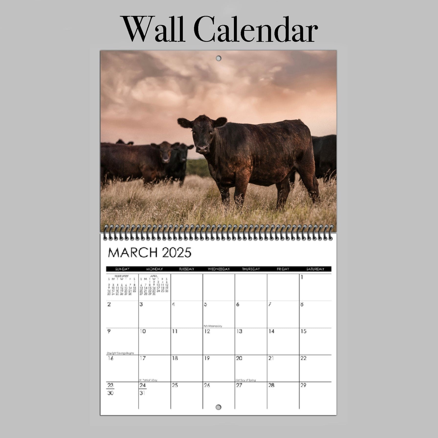 Black Angus Wall Calendar or Desktop Planner - 2025 Wall Calendar Calendar Teri James Photography