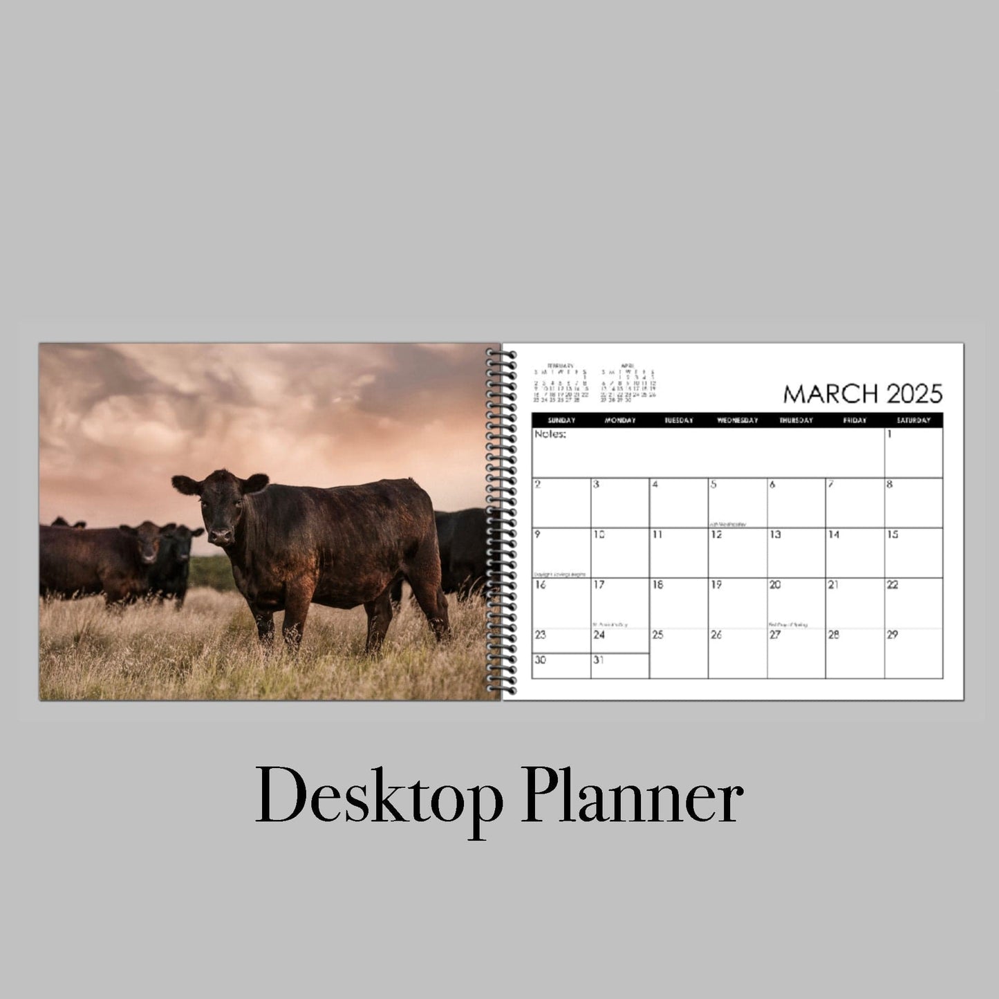 Black Angus Wall Calendar or Desktop Planner - 2025 Desktop Planner Calendar Teri James Photography