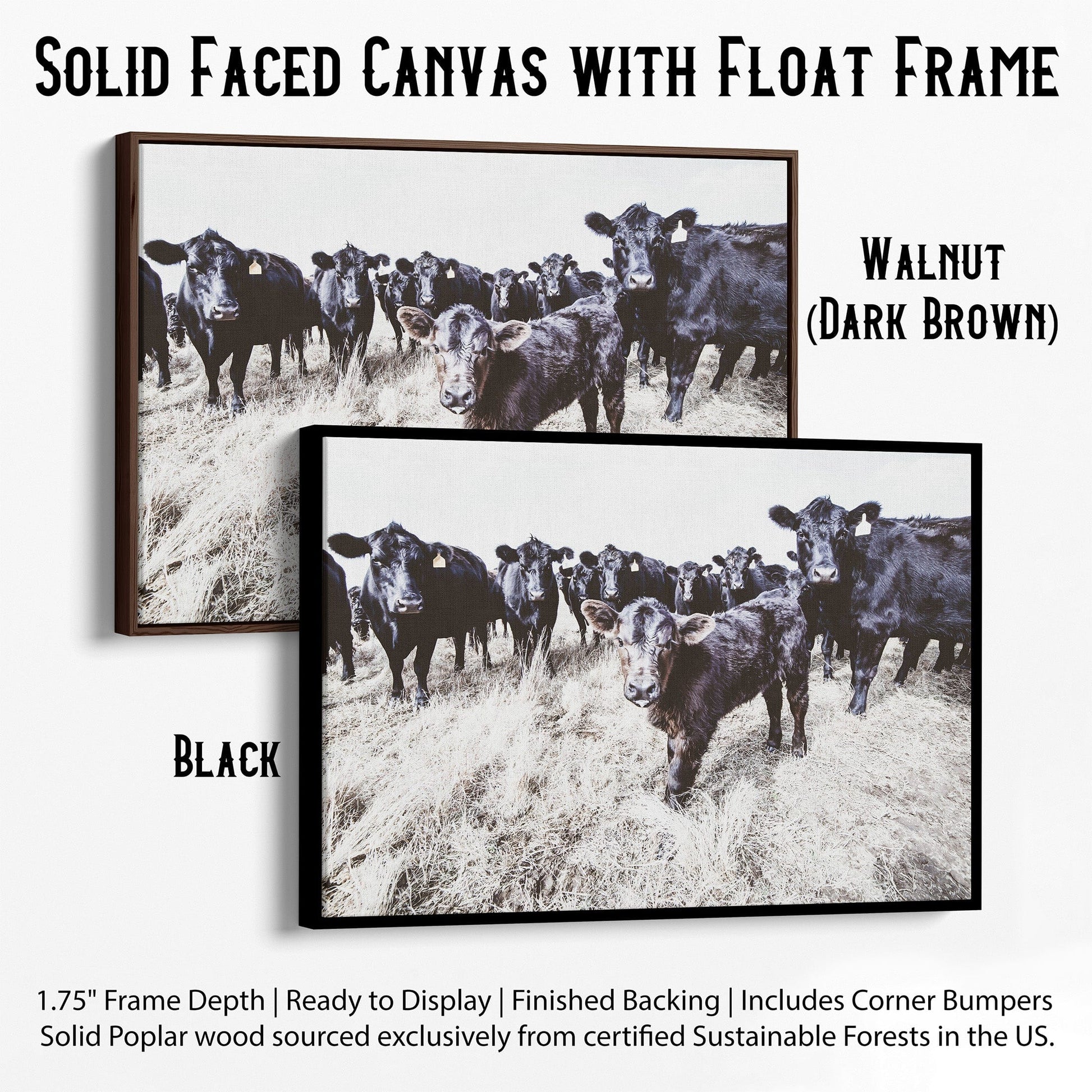 Black Angus Western Nursery Wall Art Canvas-Black Frame / 12 x 18 Inches Wall Art Teri James Photography