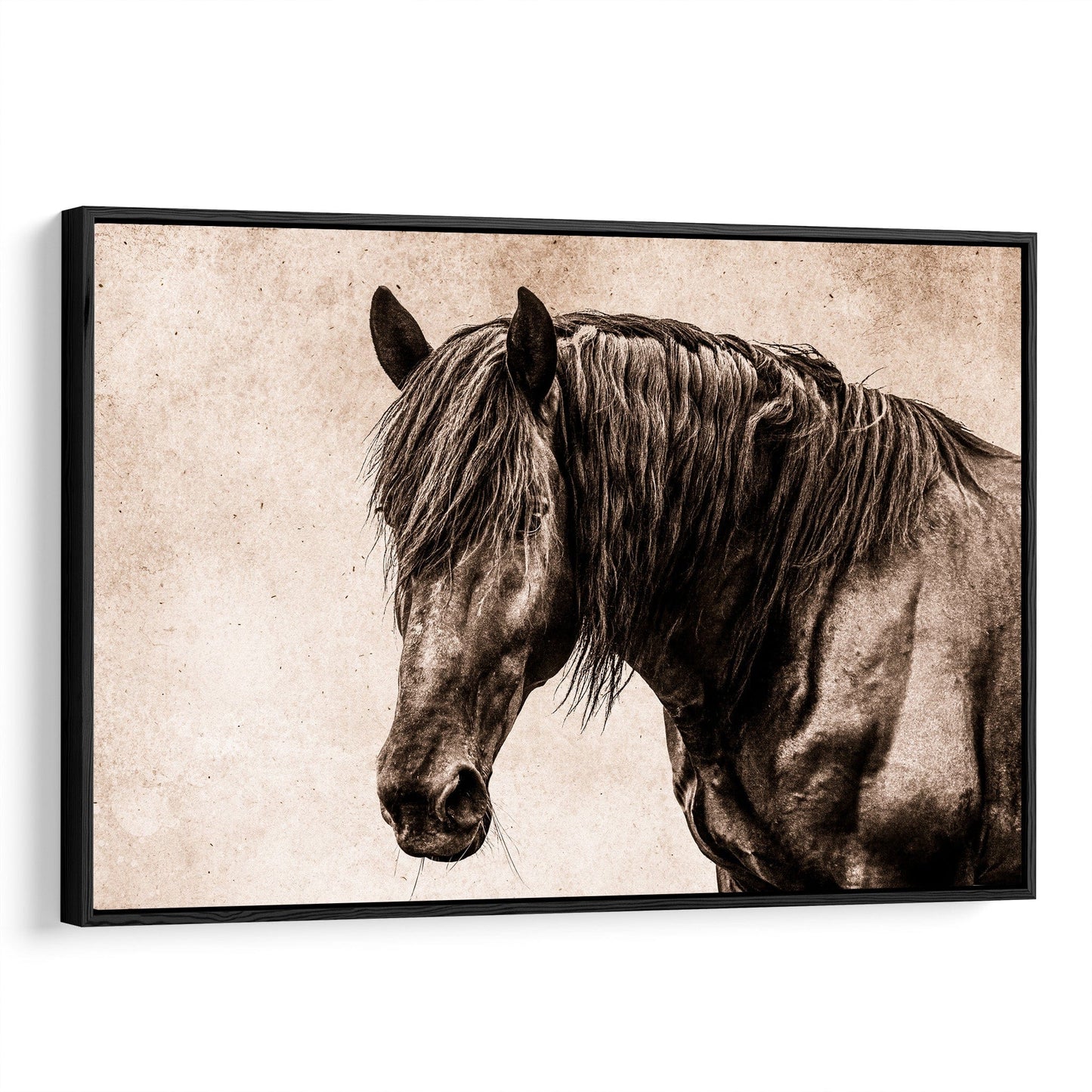 Black Horse Canvas Wall Art Canvas-Black Frame / 12 x 18 Inches Wall Art Teri James Photography