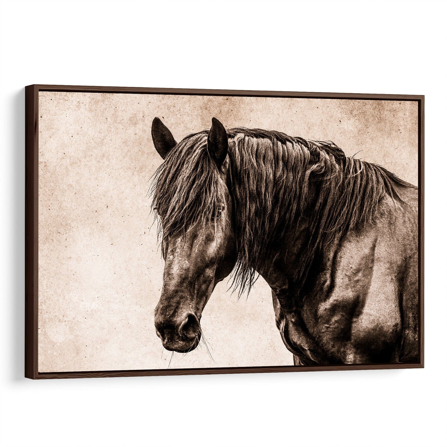 Black Horse Canvas Wall Art Canvas-Walnut Frame / 12 x 18 Inches Wall Art Teri James Photography