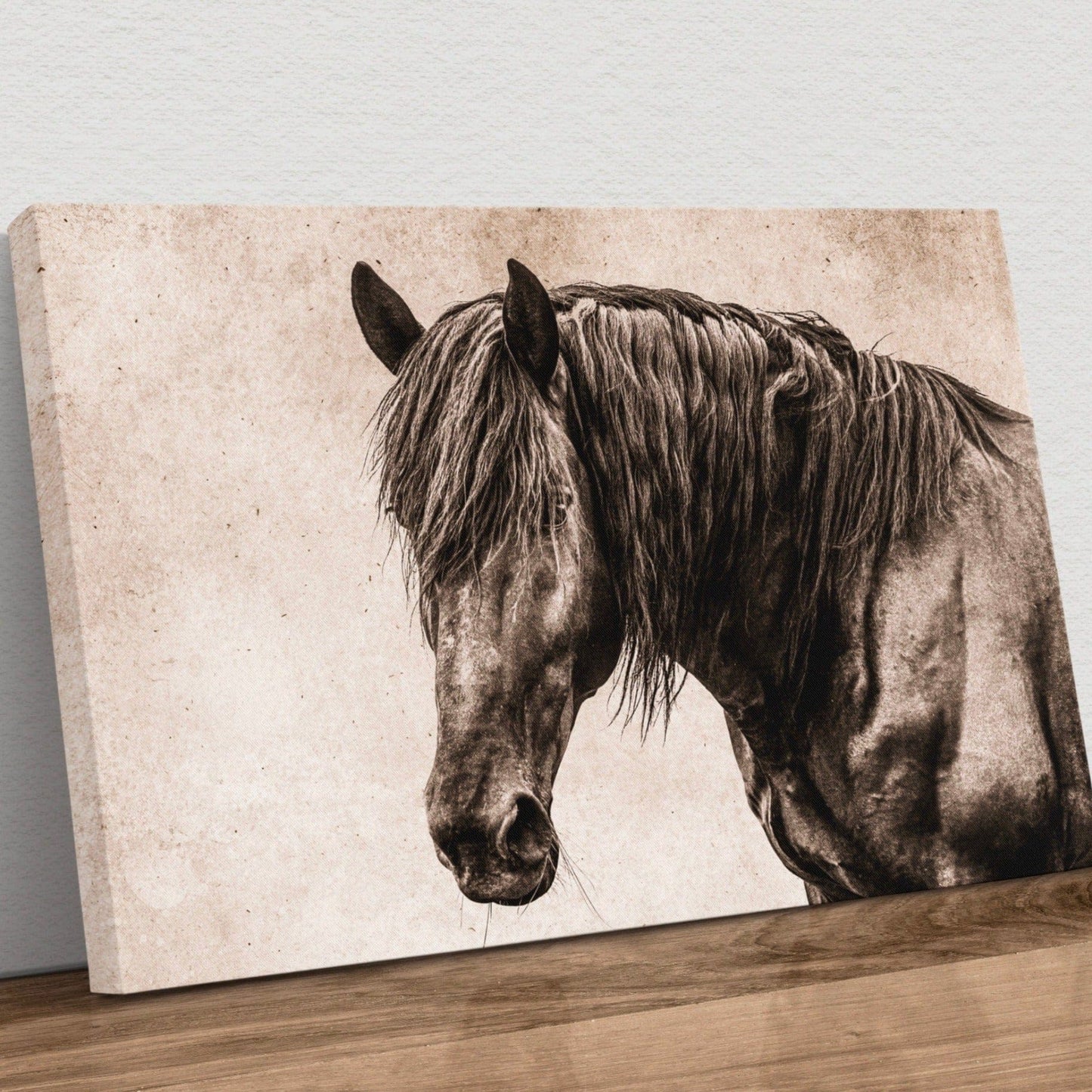 Black Horse Canvas Wall Art Canvas-Unframed / 12 x 18 Inches Wall Art Teri James Photography