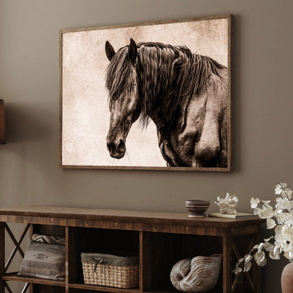 Black Horse Canvas Wall Art Wall Art Teri James Photography