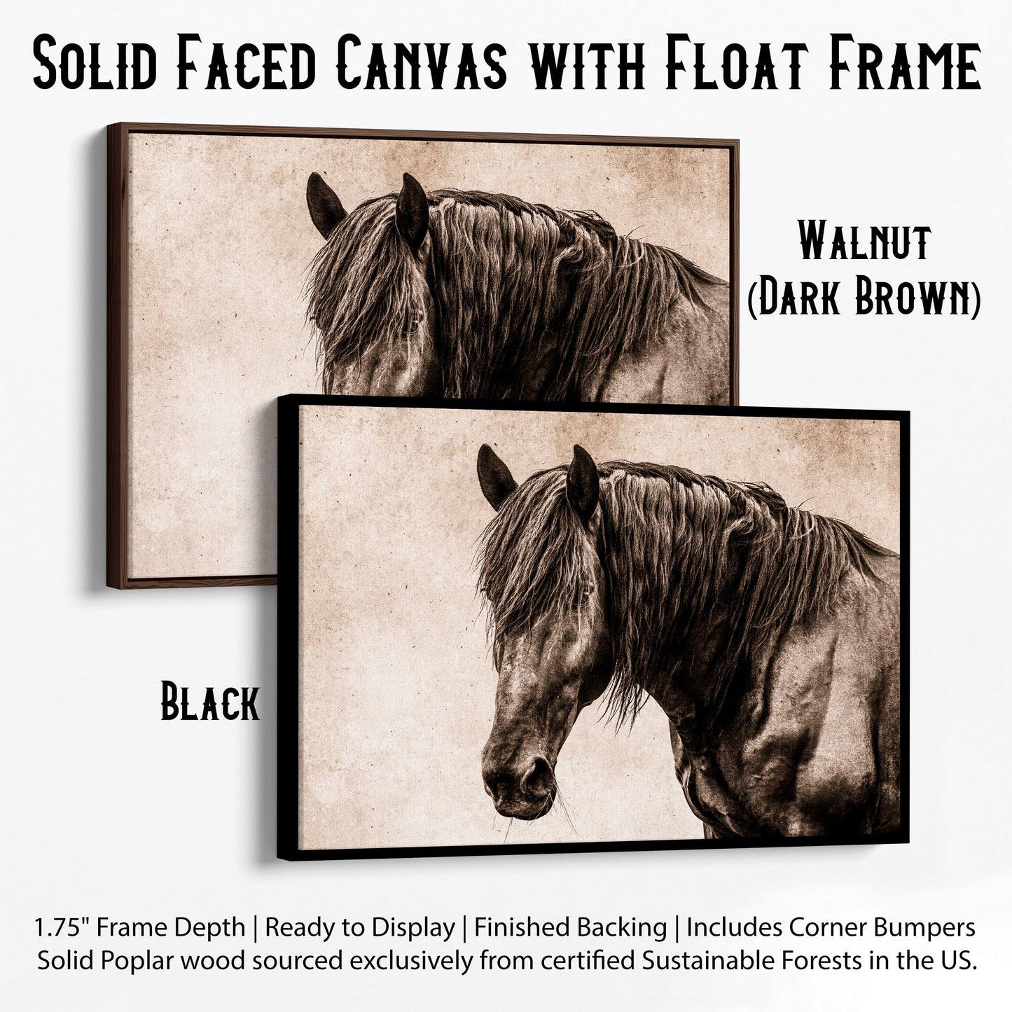 Black Horse Canvas Wall Art Canvas-Black Frame / 12 x 18 Inches Wall Art Teri James Photography