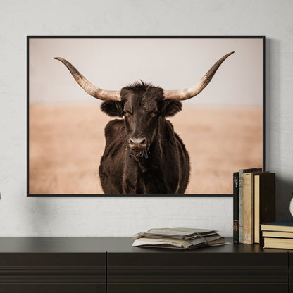 Black Texas Longhorn Canvas Print Wall Art Teri James Photography