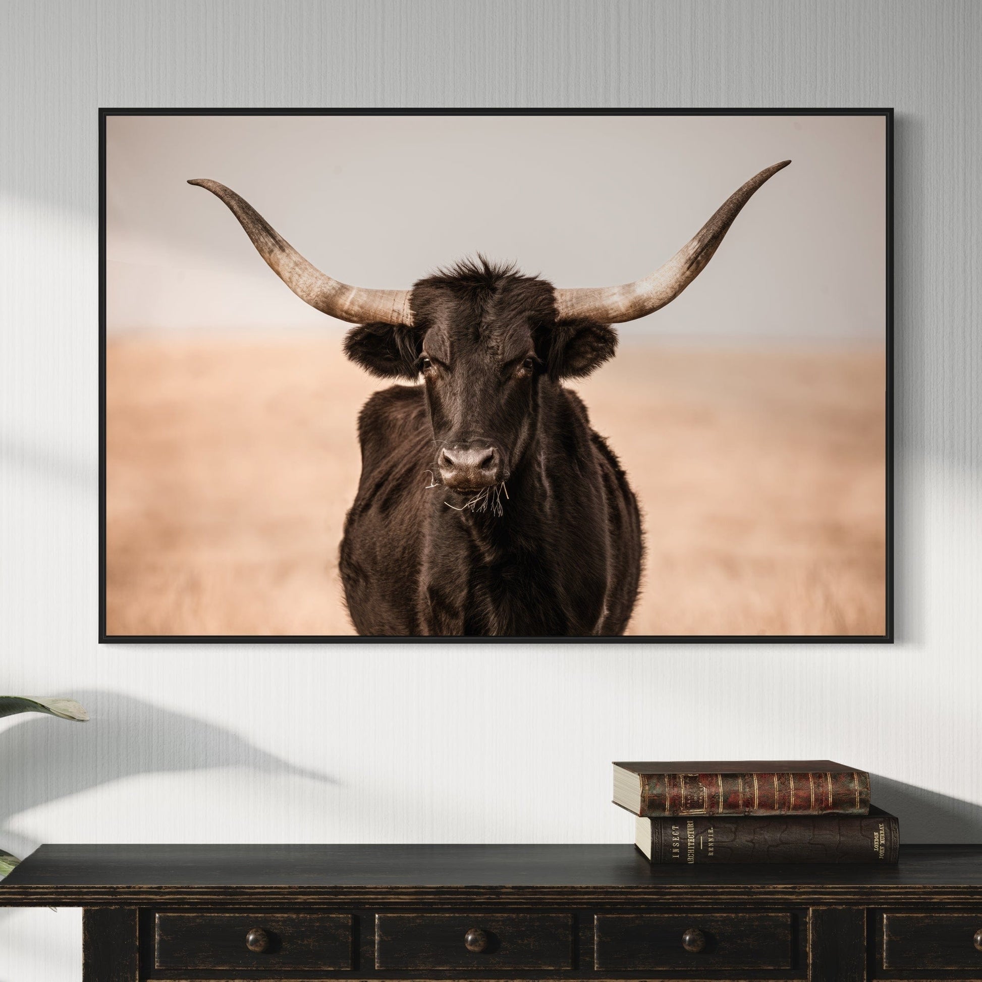 Black Texas Longhorn Canvas Print Wall Art Teri James Photography