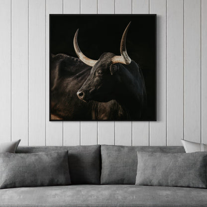 Black Texas Longhorn Cow Canvas Print Wall Art Teri James Photography