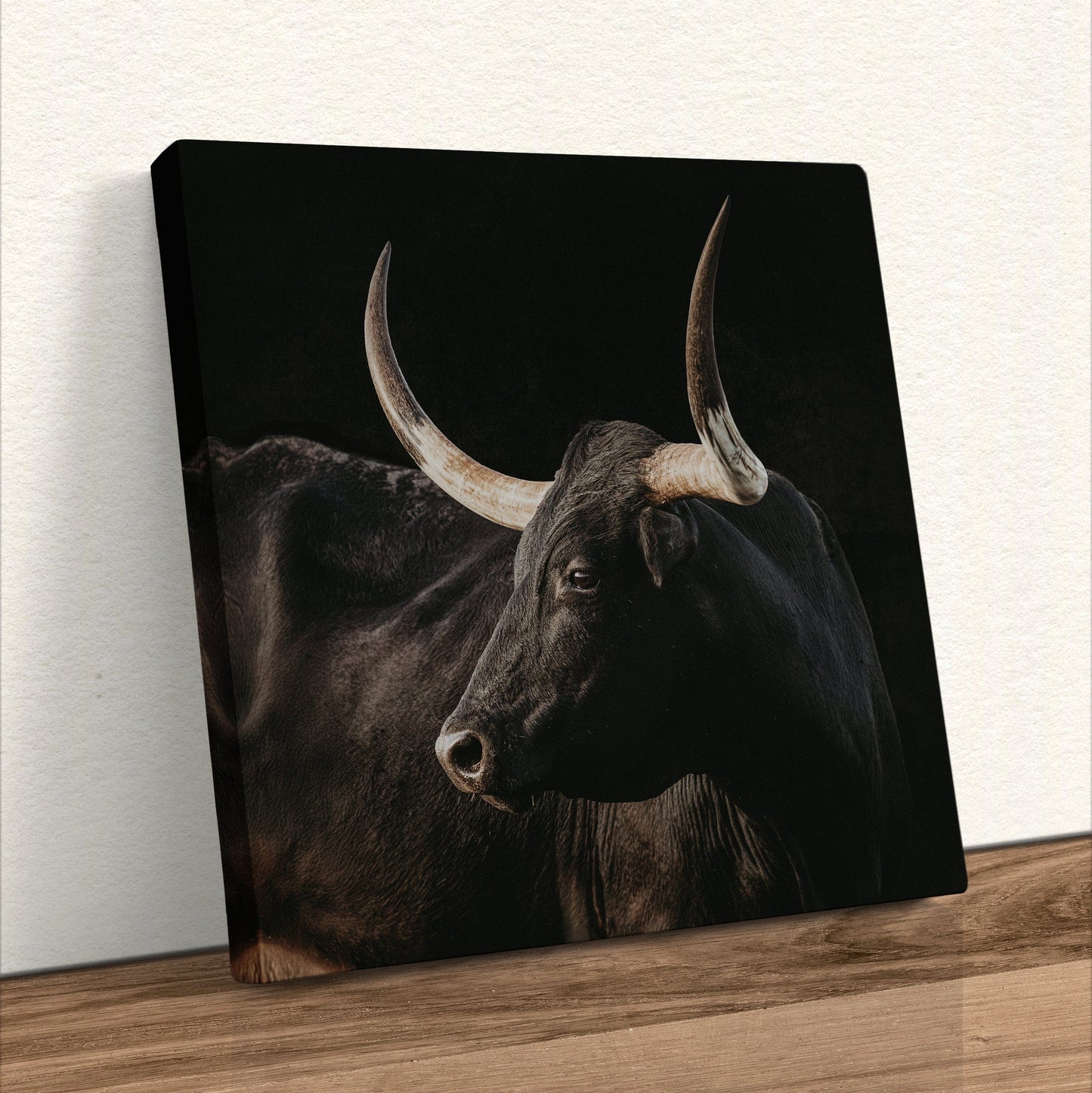 Black Texas Longhorn Cow Canvas Print Canvas-Unframed / 16 x 16 Inches Wall Art Teri James Photography