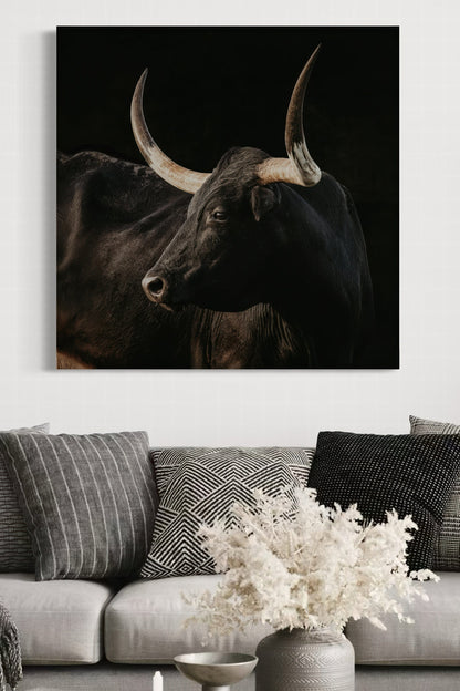 Black Texas Longhorn Cow Canvas Print Wall Art Teri James Photography