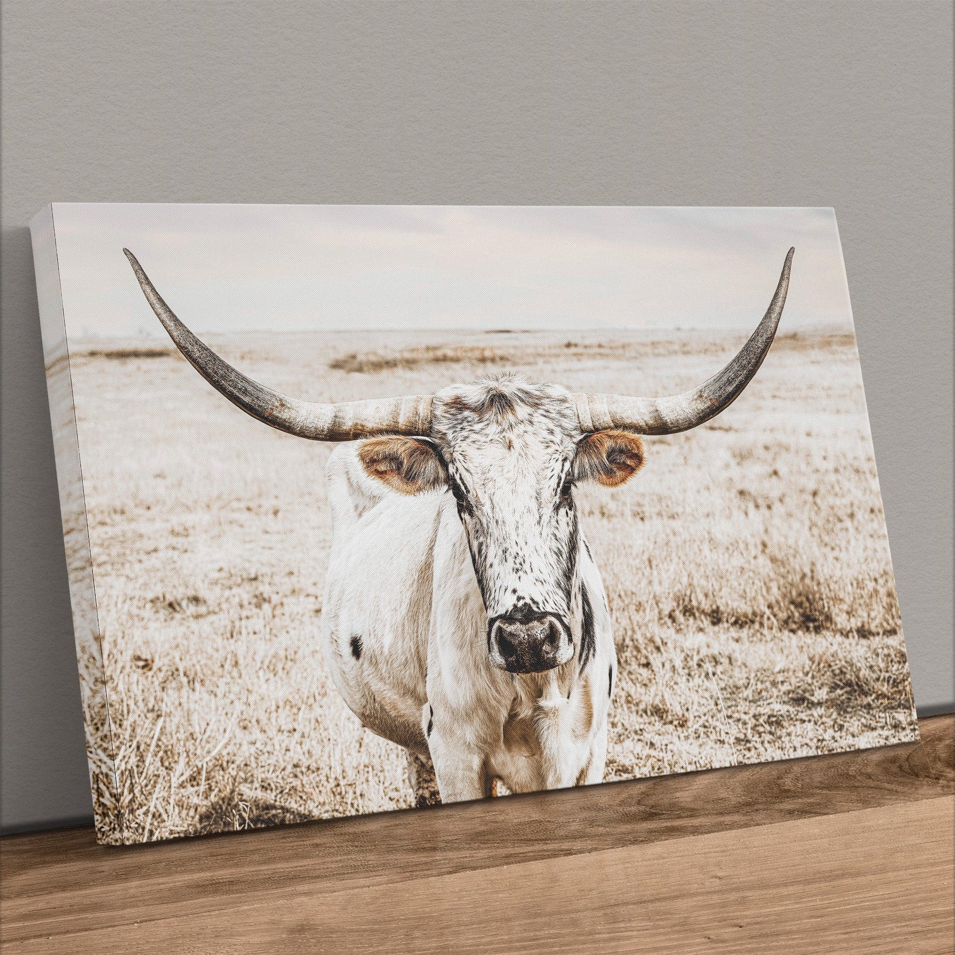 Boho Western Decor Art - Longhorn Photography Canvas Print Canvas-Unframed / 12 x 18 Inches Wall Art Teri James Photography