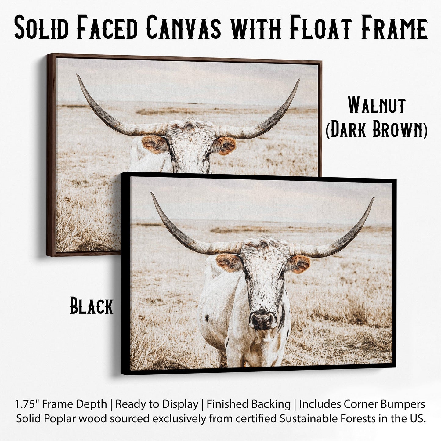 Boho Western Decor Art - Longhorn Photography Canvas Print Canvas-Black Frame / 12 x 18 Inches Wall Art Teri James Photography