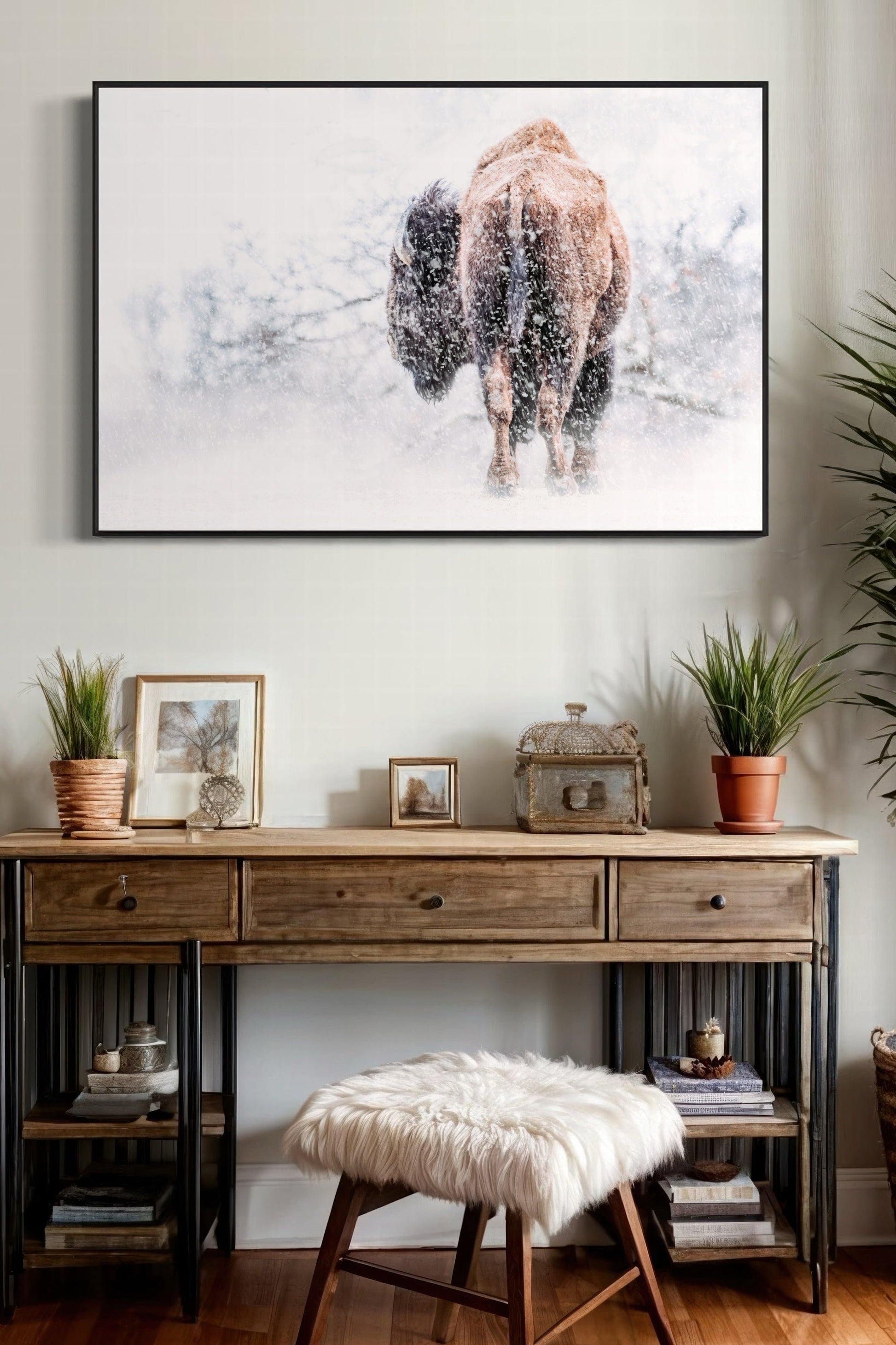 Buffalo Canvas Art Wall Art Teri James Photography