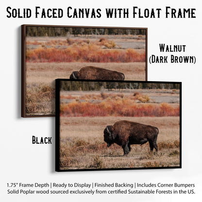 Buffalo Wall Decor - Yellowstone Bison Canvas-Black Frame / 12 x 18 Inches Wall Art Teri James Photography