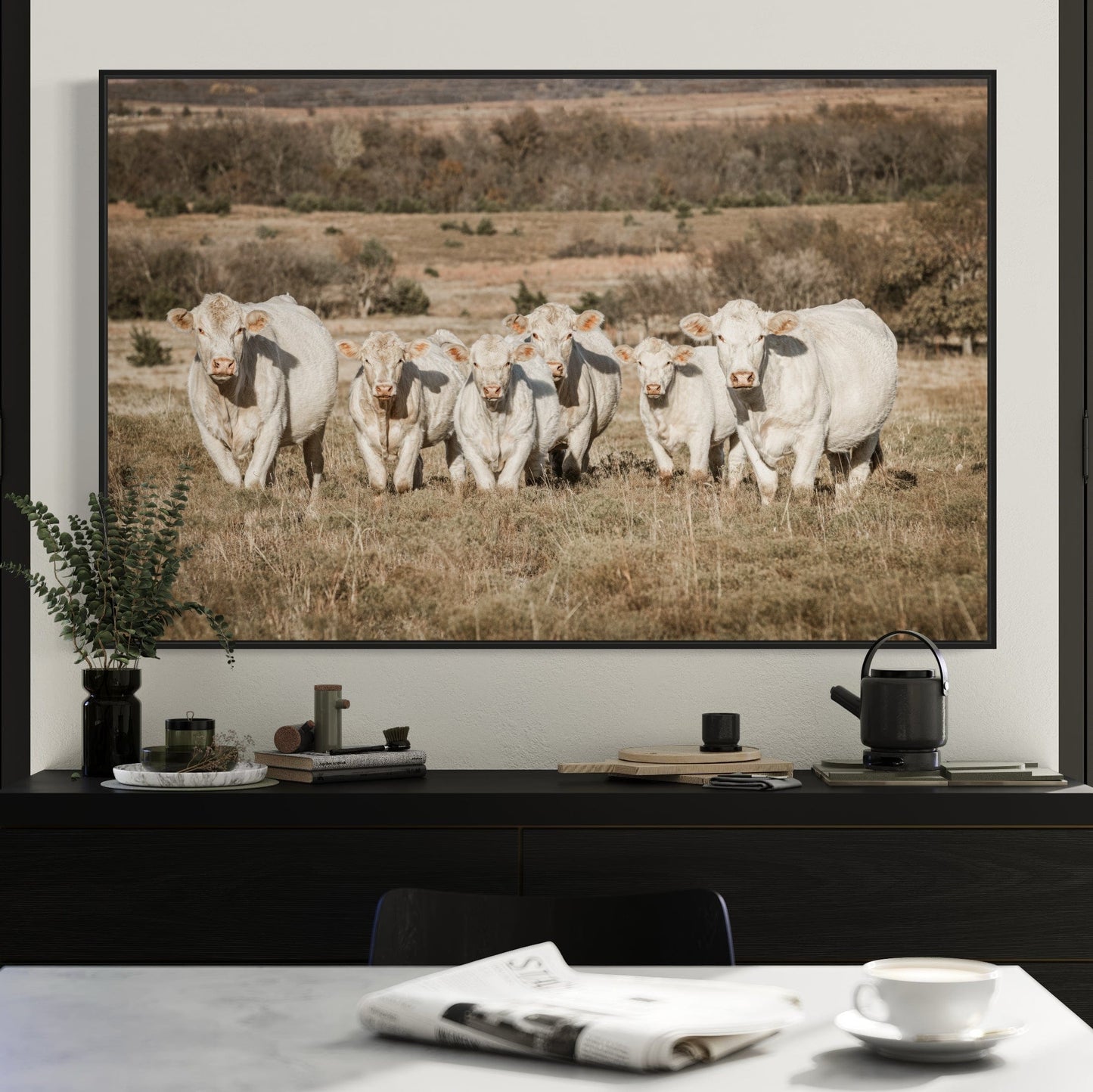 Charolais Cattle Canvas Print Wall Art Teri James Photography