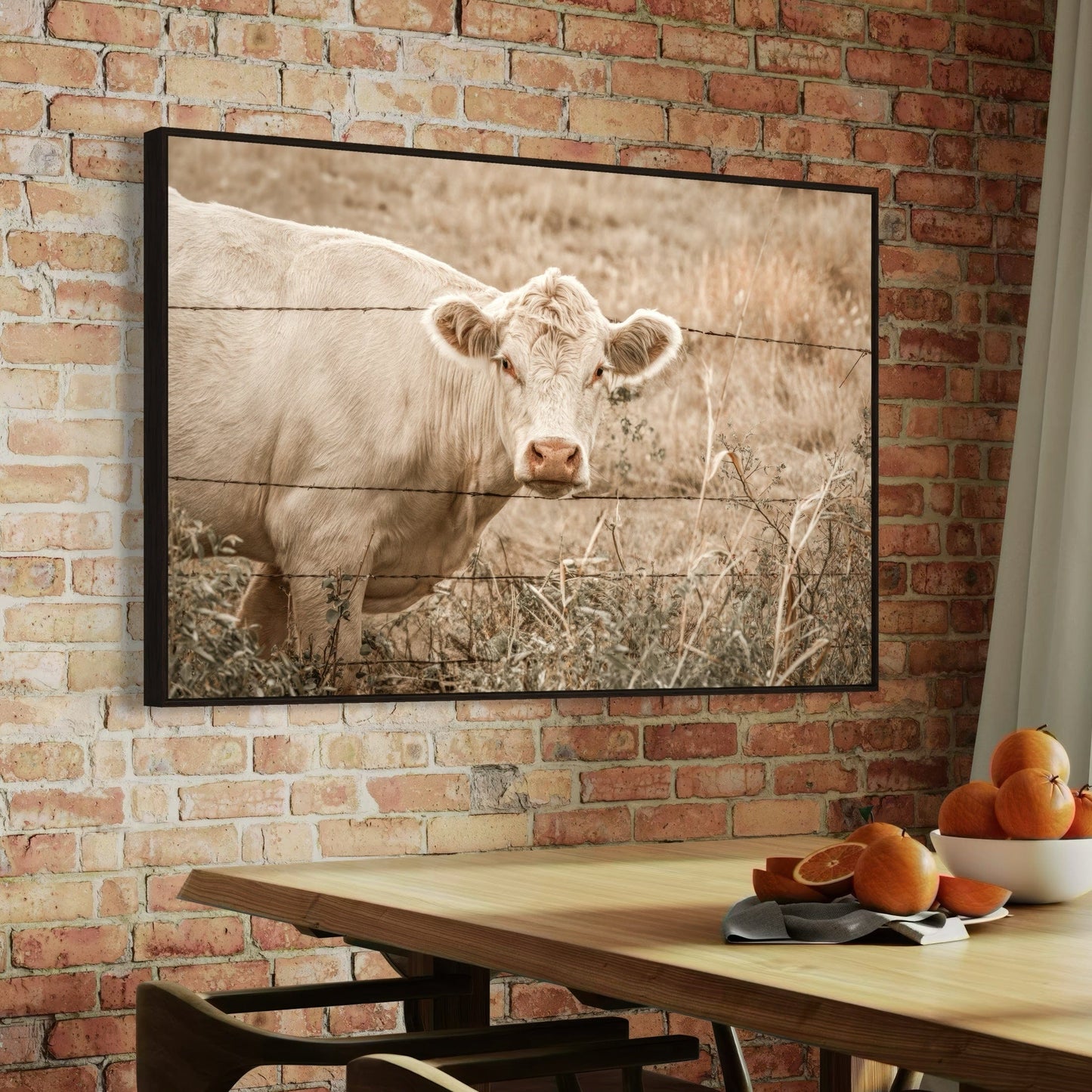 Charolais Cow Canvas Print Wall Art Teri James Photography