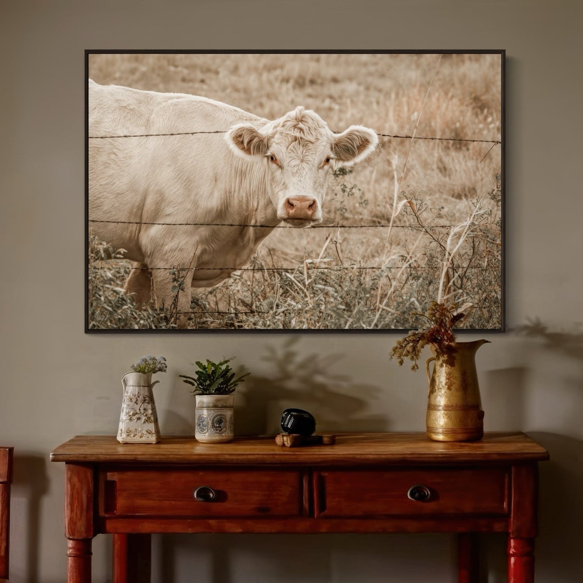 Charolais Cow Canvas Print Wall Art Teri James Photography