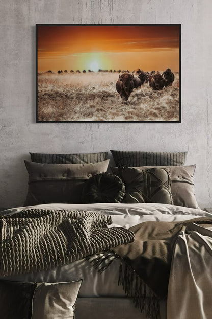 Colorful Bison Canvas Print Wall Art Teri James Photography