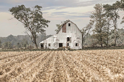 Barn Art Print - Nebraska Cornfield Wall Art Teri James Photography