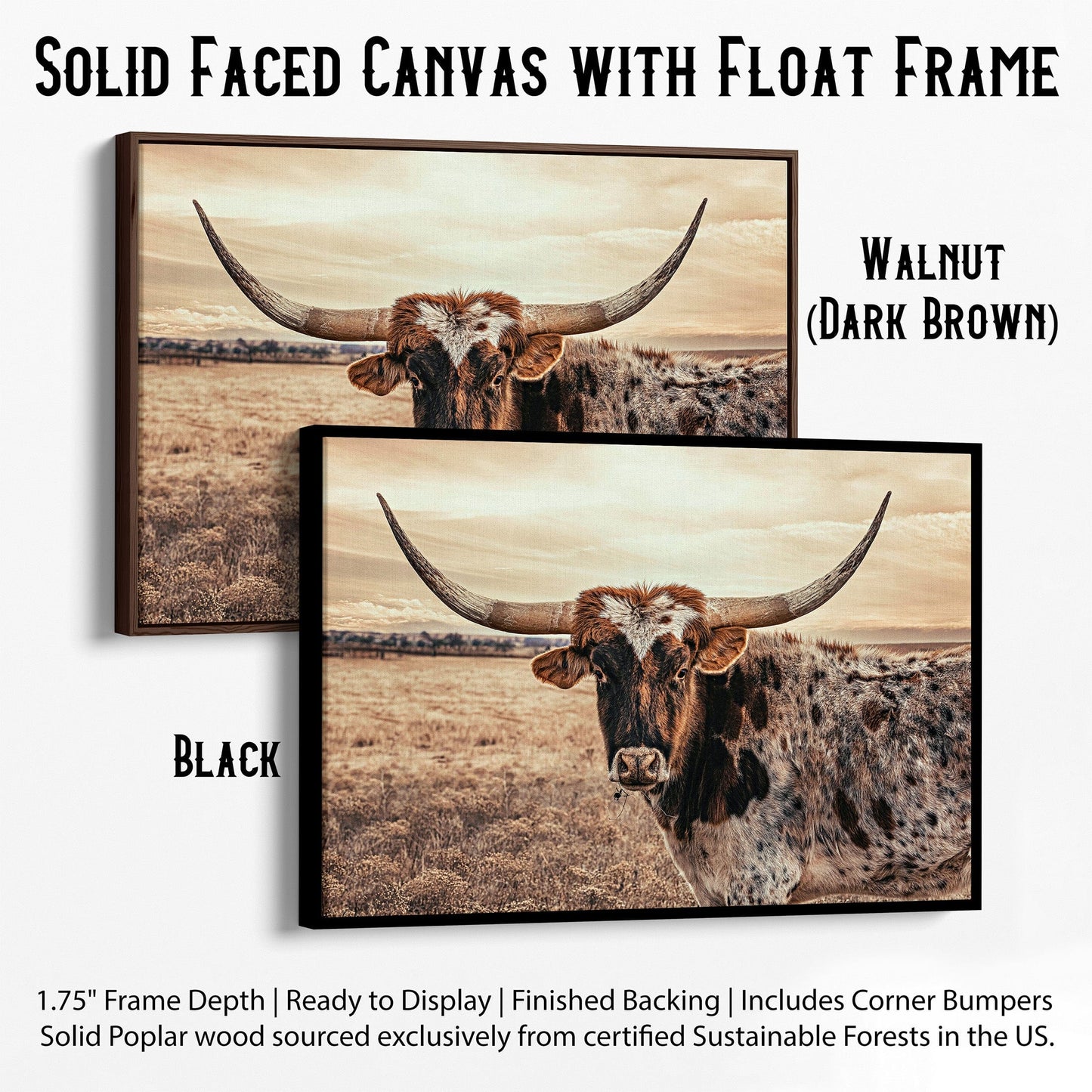 Cow Decor Texas Longhorn Canvas Canvas-Black Frame / 12 x 18 Inches Wall Art Teri James Photography