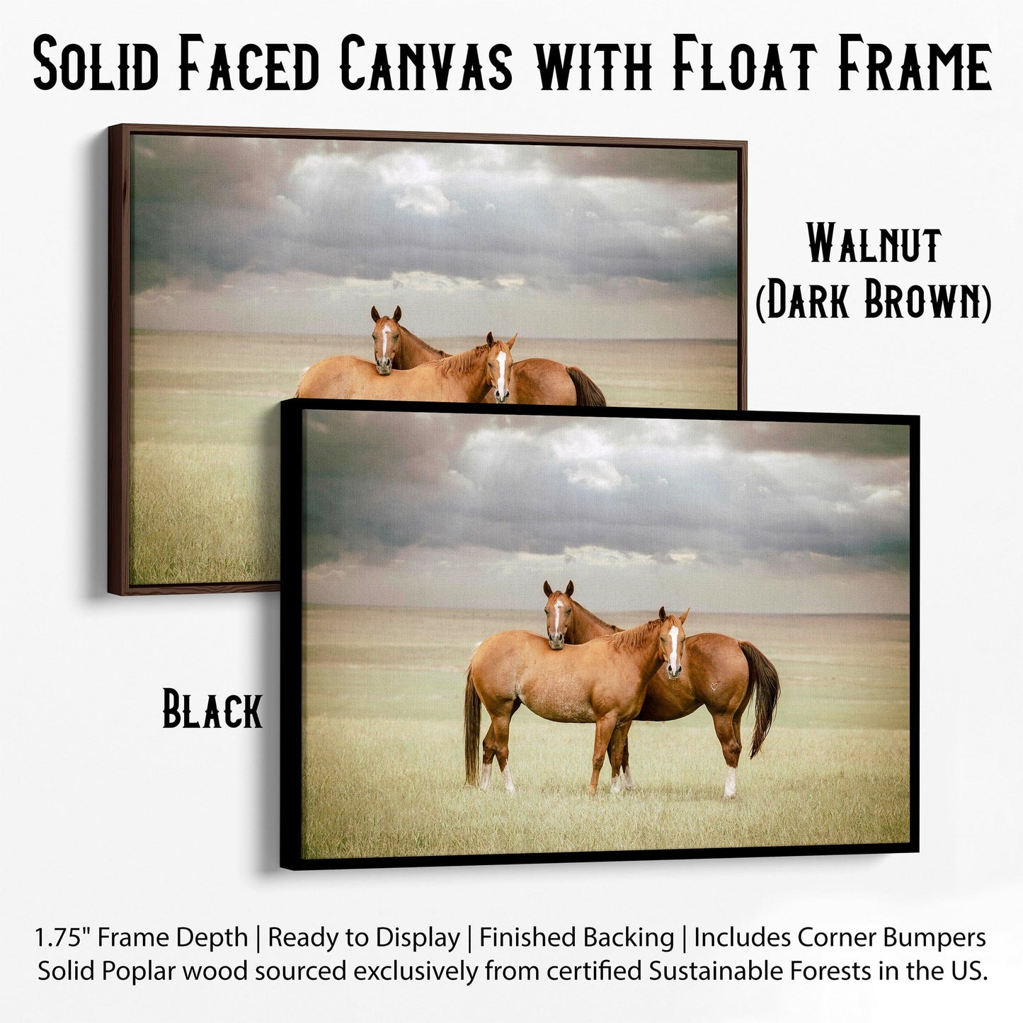 Cowboy Art - Quarter Horses and Stormy Sky Canvas-Black Frame / 12 x 18 Inches Wall Art Teri James Photography