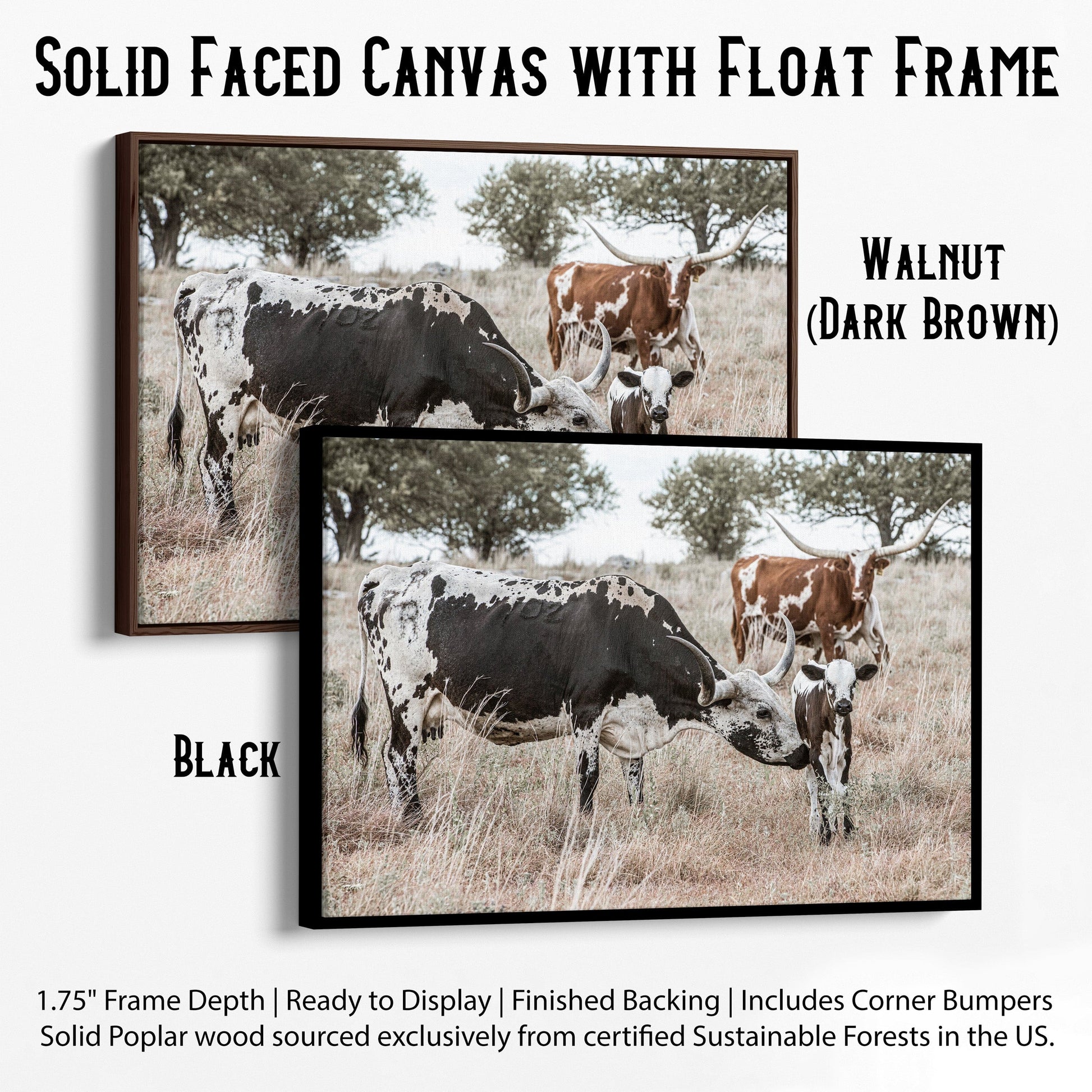 Cowboy Nursery Decor Wall Art - Longhorn Cattle Canvas-Black Frame / 12 x 18 Inches Wall Art Teri James Photography