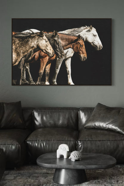 Dramatic Horse Wall Art Wall Art Teri James Photography