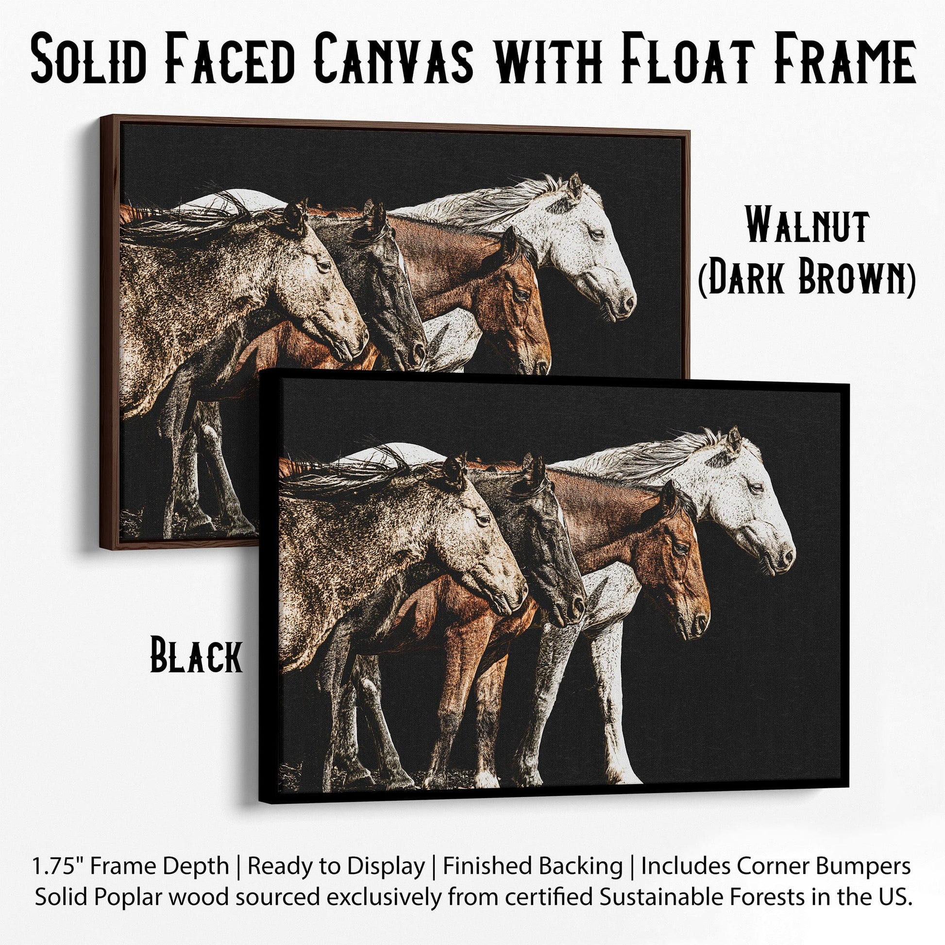 Dramatic Horse Wall Art Canvas-Black Frame / 12 x 18 Inches Wall Art Teri James Photography