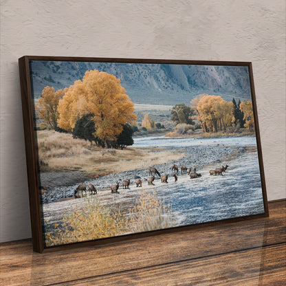 Elk in Paradise Valley Print Wall Art Teri James Photography