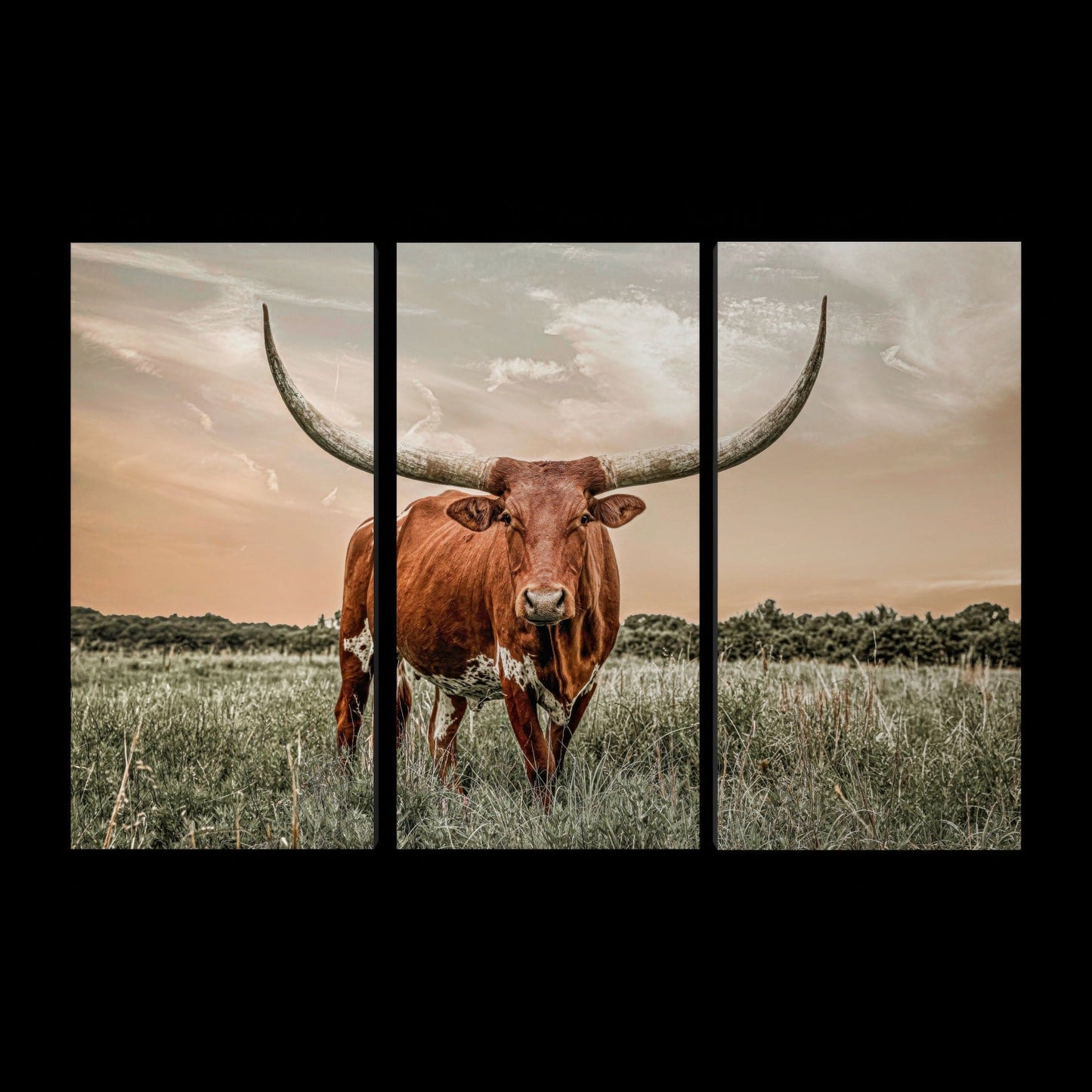 Extra Large Longhorn Art - 3 Piece Triptych Canvas 48" x 72" (3 @ 24" x 48") Wall Art Teri James Photography