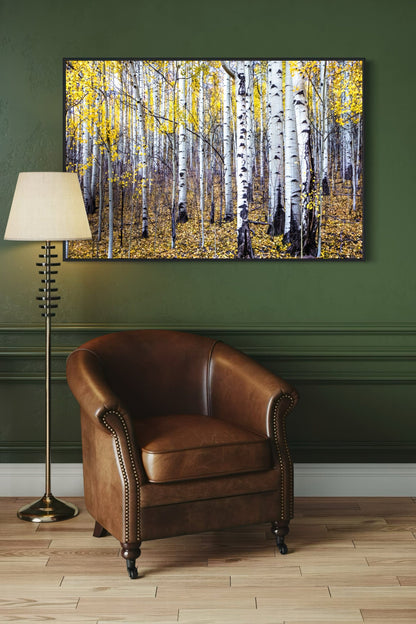 Fall Aspen Tree Wall Art - Colorado Scenic Photography Wall Art Teri James Photography