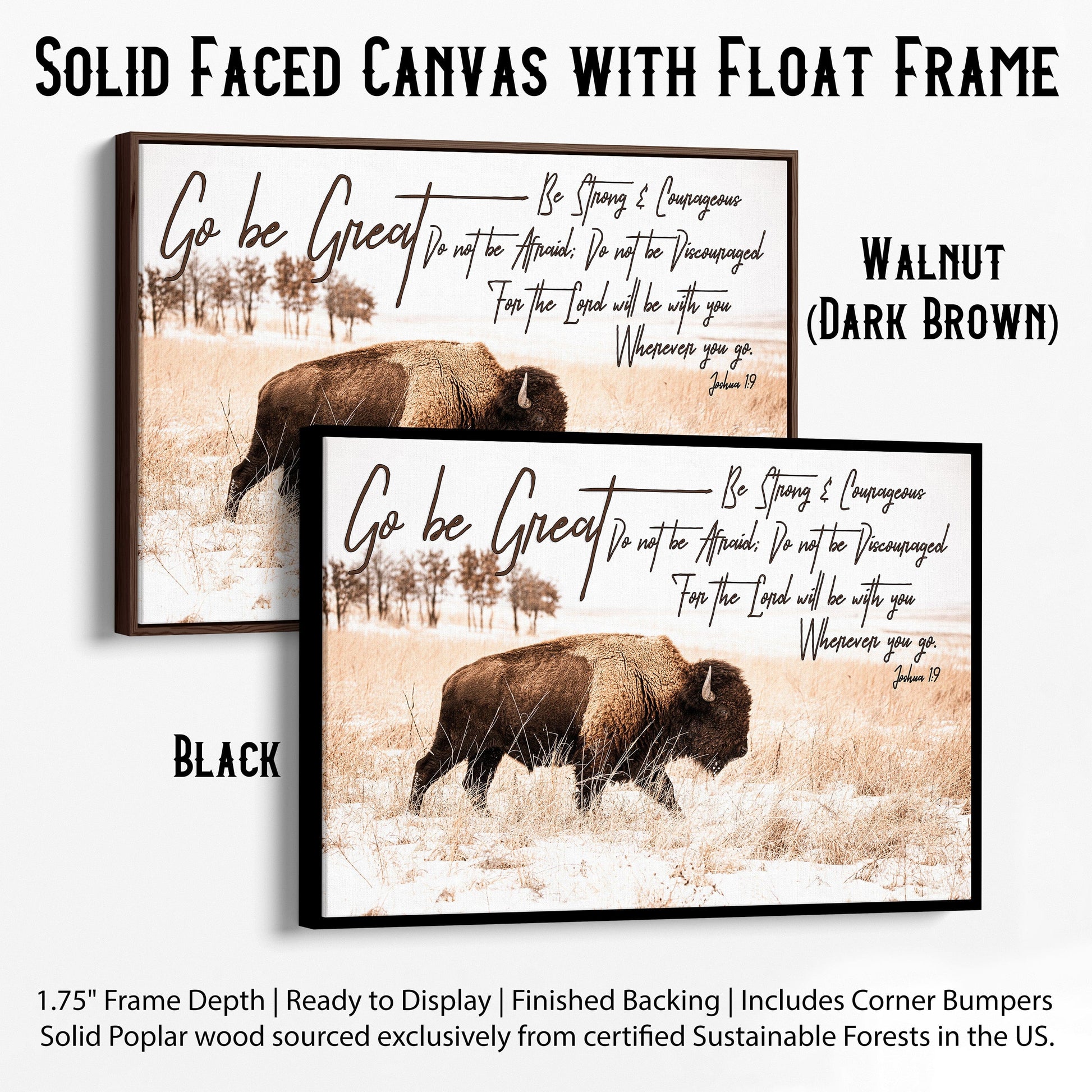 Gift for a Newborn Nursery - Bison Wall Decor Canvas-Black Frame / 12 x 18 Inches Wall Art Teri James Photography