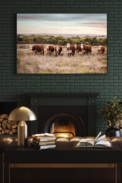 Hereford Cattle Wall Art Wall Art Teri James Photography